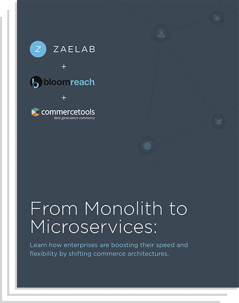 Microservices Whitepaper commercetools and Zaelab